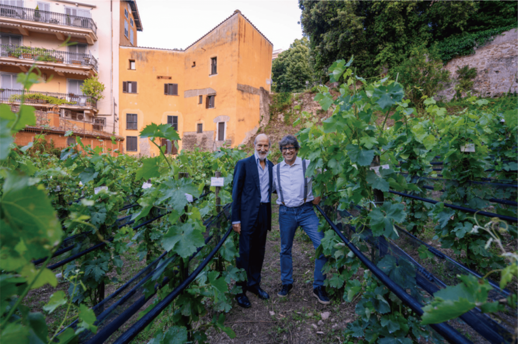 Luca Maroni 义大利酒评家