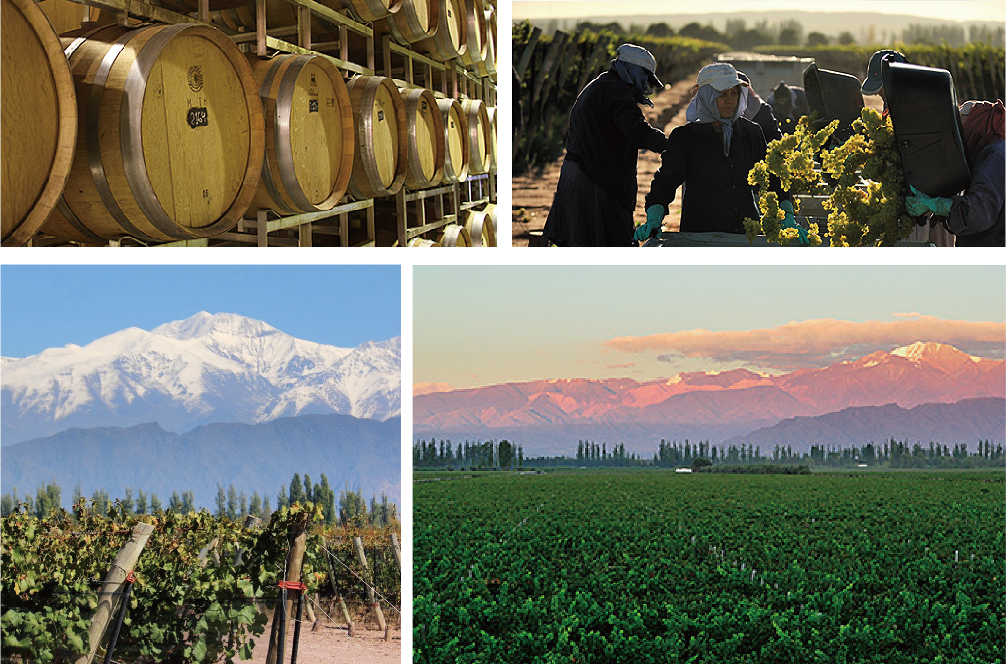 重视永续发展-拉加德酒庄