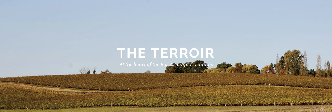 郡恩堡白兰地酒庄