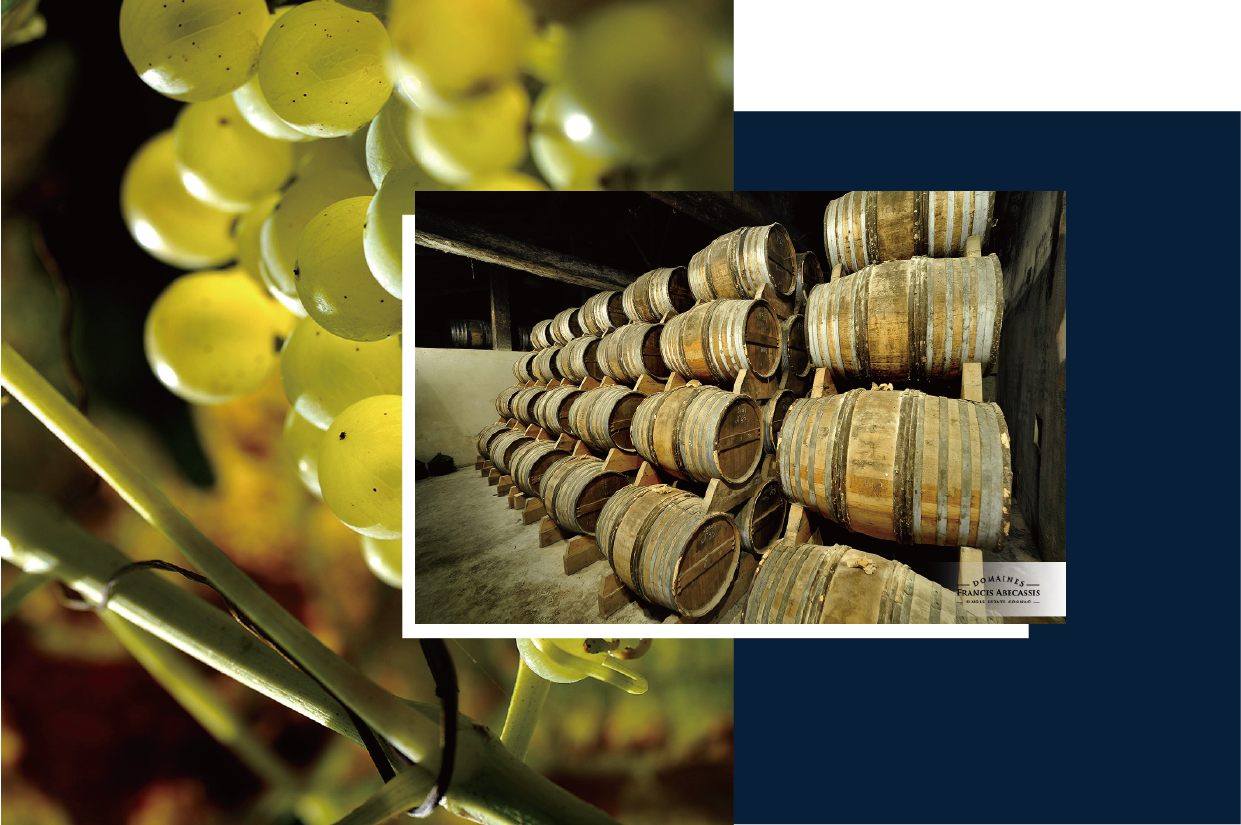 Domaines Francis Ab&eacute;cassis 高品质葡萄