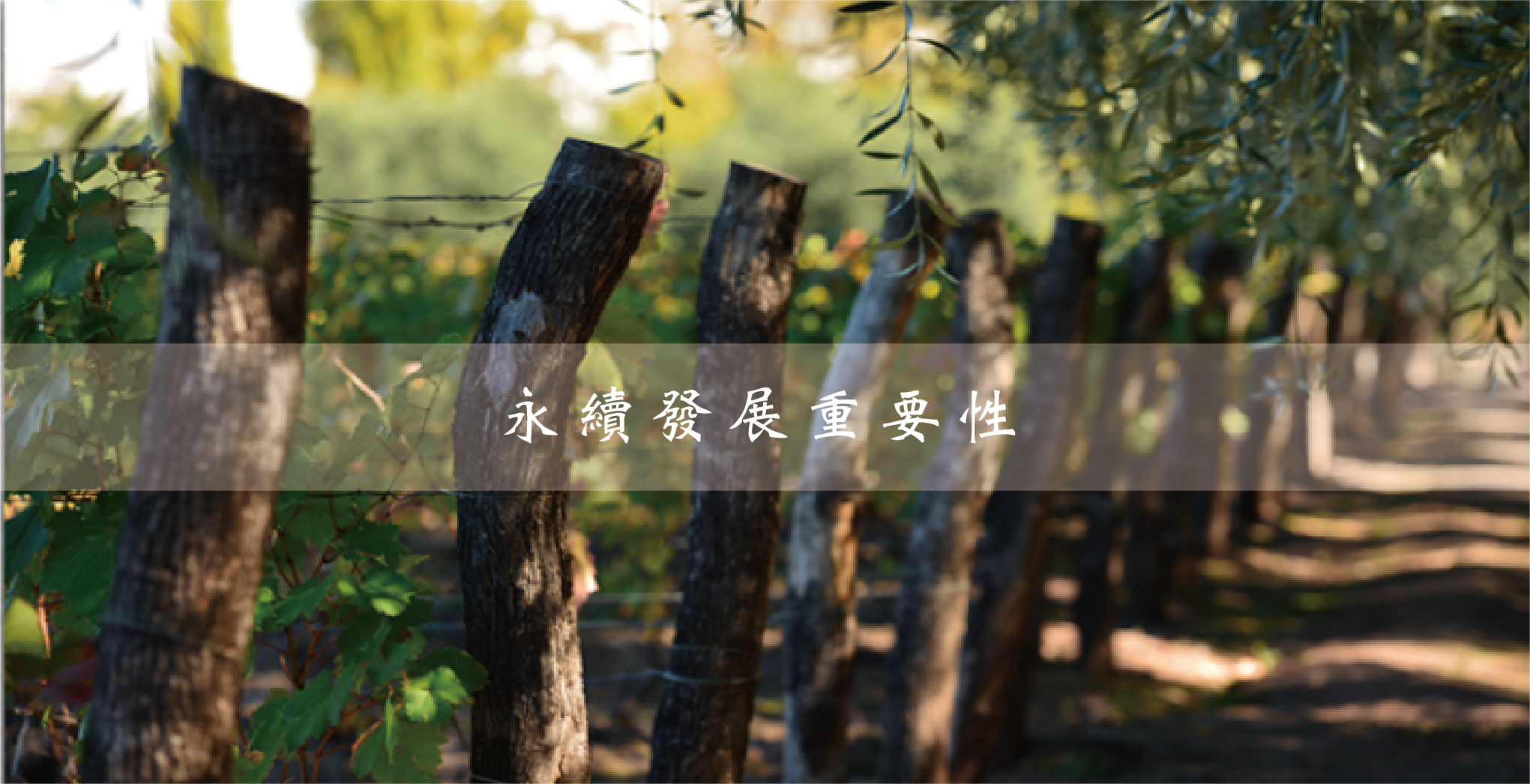 拉加德酒莊重視永續發展